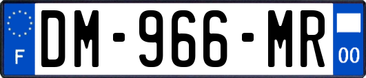 DM-966-MR