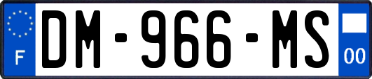 DM-966-MS