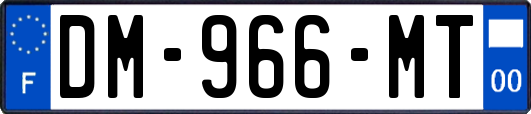 DM-966-MT