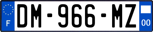 DM-966-MZ