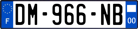 DM-966-NB