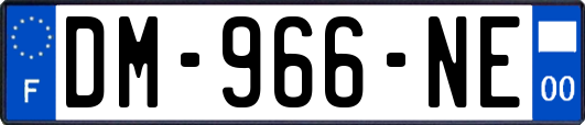DM-966-NE