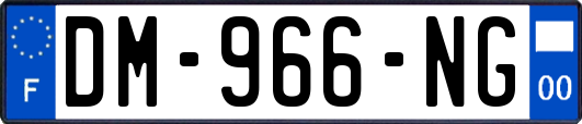 DM-966-NG