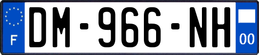 DM-966-NH