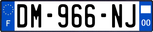 DM-966-NJ