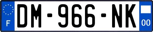 DM-966-NK