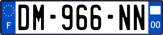 DM-966-NN