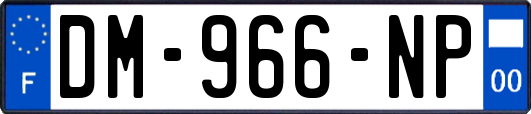 DM-966-NP