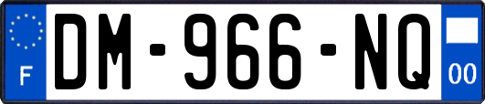 DM-966-NQ