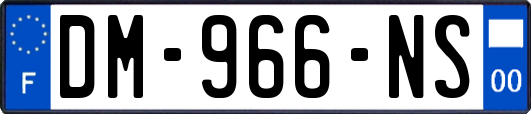 DM-966-NS