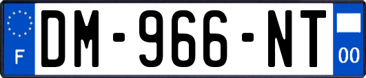 DM-966-NT