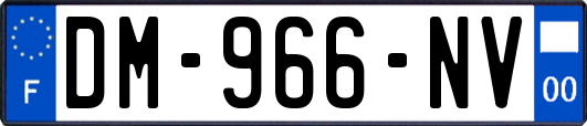 DM-966-NV