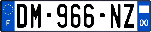 DM-966-NZ