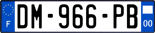 DM-966-PB