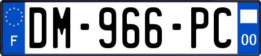 DM-966-PC