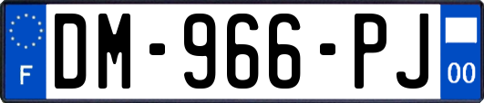 DM-966-PJ