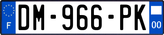 DM-966-PK