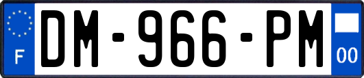 DM-966-PM
