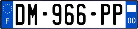 DM-966-PP