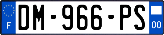DM-966-PS
