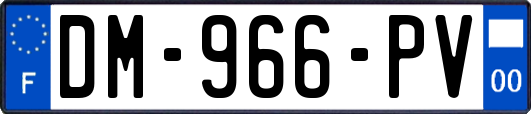 DM-966-PV