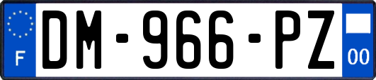 DM-966-PZ
