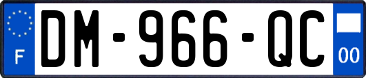 DM-966-QC