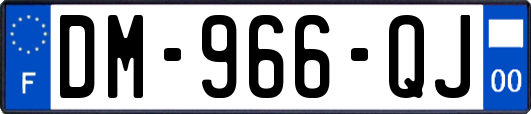DM-966-QJ