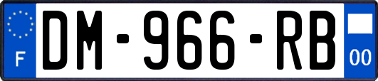 DM-966-RB