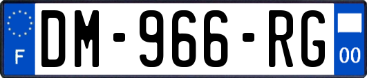DM-966-RG
