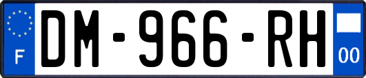 DM-966-RH