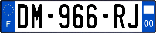 DM-966-RJ