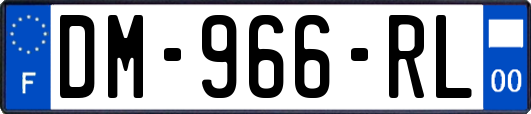 DM-966-RL