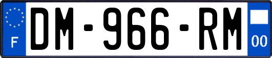 DM-966-RM