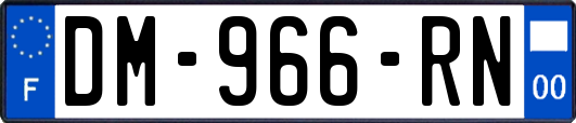 DM-966-RN