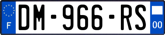 DM-966-RS