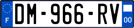 DM-966-RV