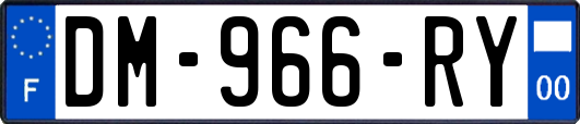 DM-966-RY