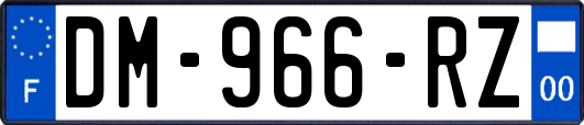 DM-966-RZ