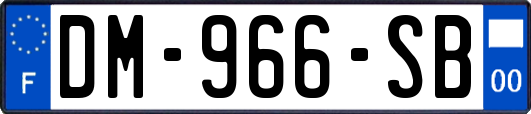 DM-966-SB