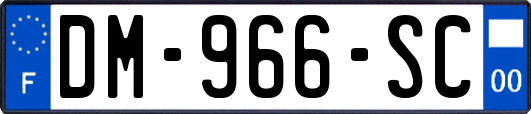 DM-966-SC