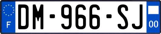 DM-966-SJ