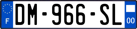 DM-966-SL