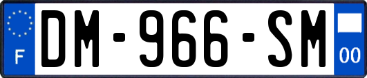 DM-966-SM