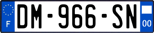 DM-966-SN