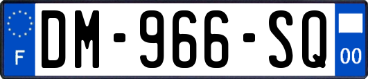 DM-966-SQ