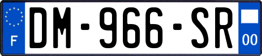 DM-966-SR