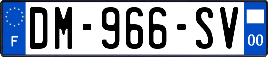 DM-966-SV