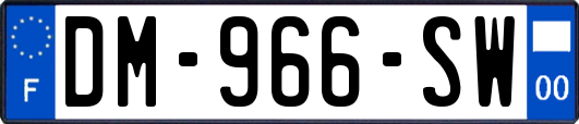DM-966-SW
