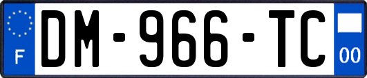DM-966-TC